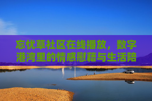 忘忧草社区在线播放，数字港湾里的情感慰藉与生活陪伴，忘忧草社区在线播放，数字港湾里的情感慰藉与生活陪伴