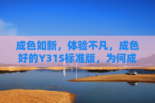 成色如新，体验不凡，成色好的Y31S标准版，为何成为二手市场的热门选择？