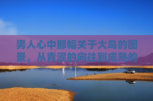 男人心中那幅关于大鸟的图景，从青涩的向往到成熟的担当，男人心中大鸟的图景，从青涩向往到成熟担当