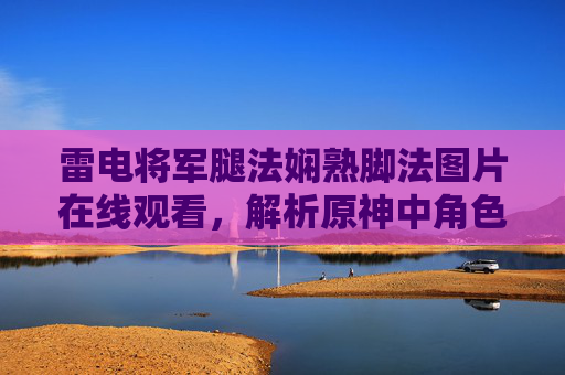雷电将军腿法娴熟脚法图片在线观看，解析原神中角色的格斗艺术与视觉魅力，雷电将军腿法脚法图片解析，原神角色格斗艺术与视觉魅力赏析