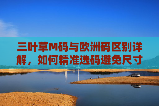 三叶草M码与欧洲码区别详解，如何精准选码避免尺寸踩雷，三叶草M码与欧洲码区别详解，如何精准选码避免尺寸踩雷