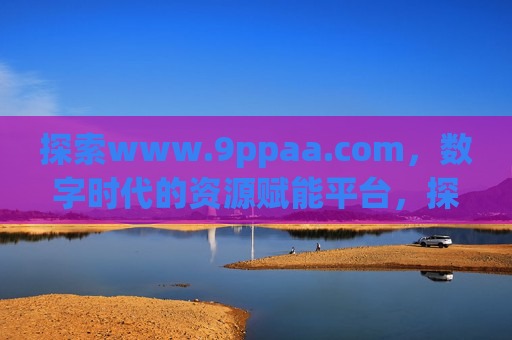 探索www.9ppaa.com，数字时代的资源赋能平台，探索www.9ppaa.com，数字时代的资源赋能平台