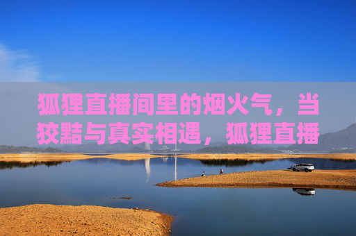 狐狸直播间里的烟火气，当狡黠与真实相遇，狐狸直播间里的烟火气，当狡黠与真实相遇
