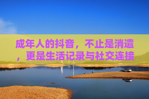 成年人的抖音，不止是消遣，更是生活记录与社交连接的舞台，成年人的抖音，不止是消遣，更是生活记录与社交连接的舞台