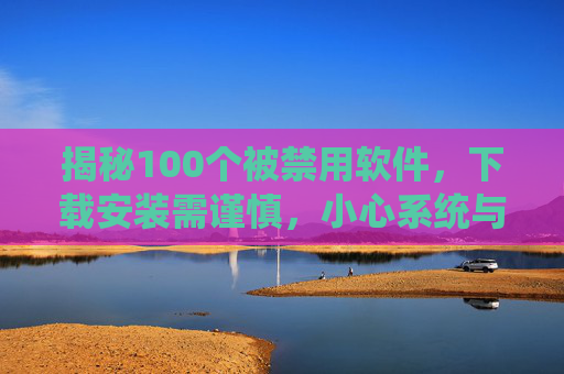 揭秘100个被禁用软件，下载安装需谨慎，小心系统与隐私风险！揭秘100个被禁用软件，下载安装需谨慎，谨防系统与隐私风险