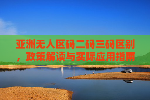 亚洲无人区码二码三码区别，政策解读与实际应用指南，亚洲无人区码二码三码区别，政策解读与实际应用指南