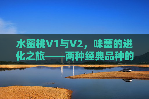 水蜜桃V1与V2，味蕾的进化之旅——两种经典品种的口感与风味解析，水蜜桃V1与V2，味蕾进化之旅——经典品种的口感与风味深度解析