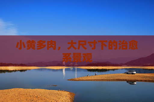 小黄多肉，大尺寸下的治愈系景观