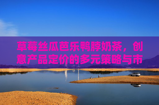 草莓丝瓜芭乐鸭脖奶茶，创意产品定价的多元策略与市场洞察，草莓丝瓜芭乐鸭脖奶茶，创意产品定价的多元策略与市场洞察