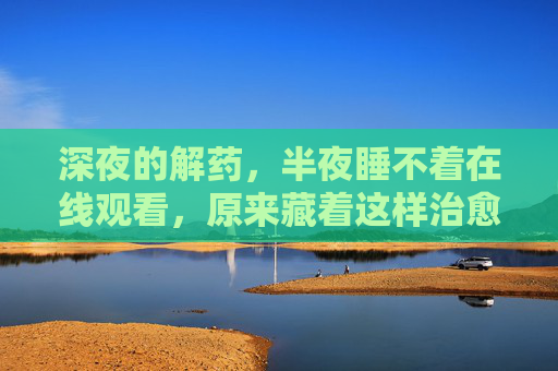 深夜的解药，半夜睡不着在线观看，原来藏着这样治愈的瞬间，深夜解药，半夜睡不着时，这些治愈瞬间让你安睡
