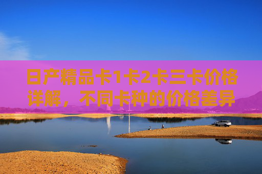 日产精品卡1卡2卡三卡价格详解，不同卡种的价格差异与选择指南，日产精品卡1、2、3卡价格详解，不同卡种的价格差异与选择指南