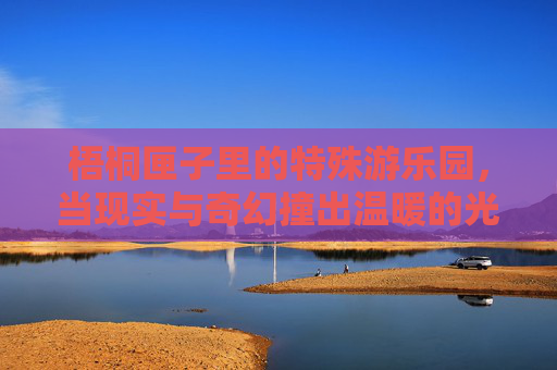 梧桐匣子里的特殊游乐园，当现实与奇幻撞出温暖的光，梧桐匣子里的特殊游乐园，当现实与奇幻撞出温暖的光