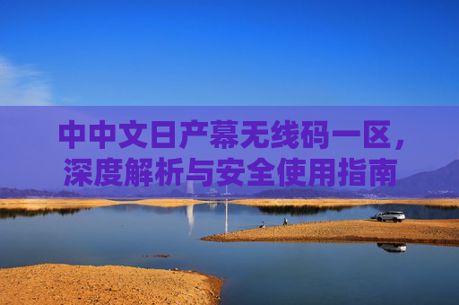 中中文日产幕无线码一区，深度解析与安全使用指南