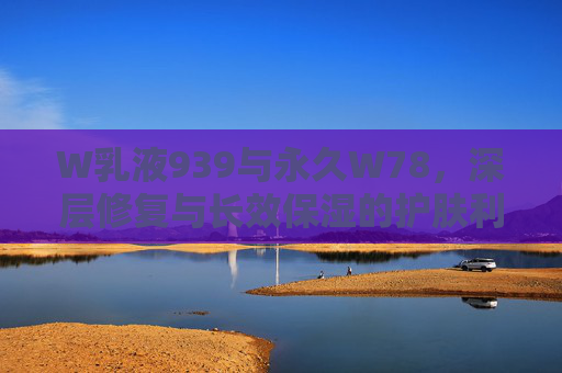 W乳液939与永久W78，深层修复与长效保湿的护肤利器