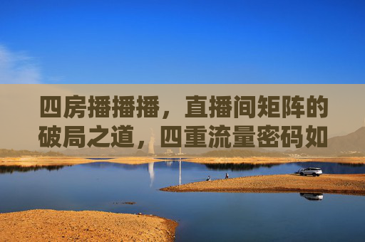 四房播播播，直播间矩阵的破局之道，四重流量密码如何引爆？四房播播播，直播间矩阵的破局之道，四重流量密码如何引爆？