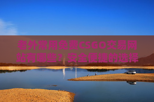 老外常用免费CSGO交易网站有哪些？安全便捷的选择指南，老外常用免费CSGO交易网站有哪些？安全便捷的选择指南