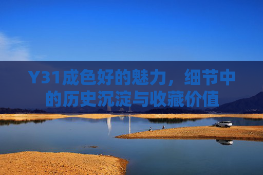 Y31成色好的魅力，细节中的历史沉淀与收藏价值