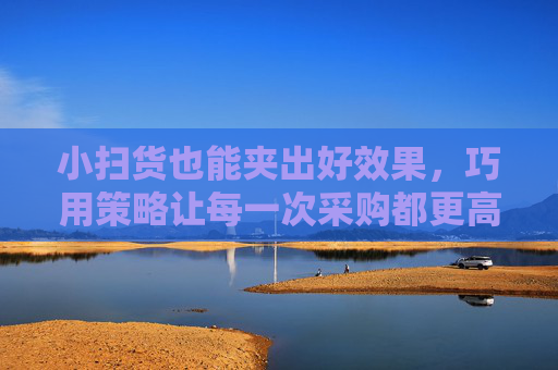 小扫货也能夹出好效果，巧用策略让每一次采购都更高效