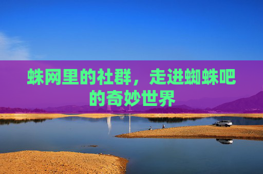 蛛网里的社群，走进蜘蛛吧的奇妙世界
