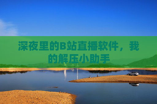 深夜里的B站直播软件，我的解压小助手