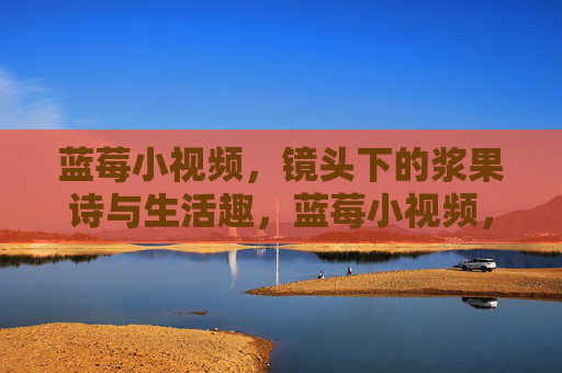 蓝莓小视频，镜头下的浆果诗与生活趣，蓝莓小视频，镜头下的浆果诗与生活趣