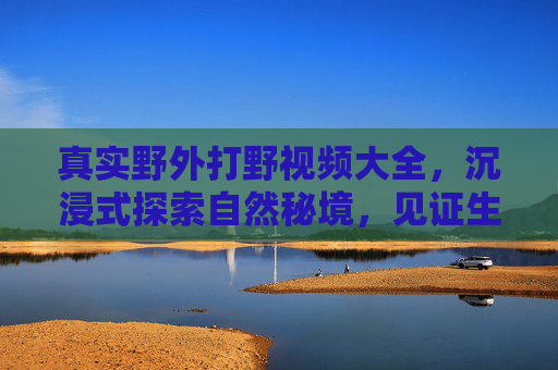 真实野外打野视频大全，沉浸式探索自然秘境，见证生存与野趣的真实瞬间