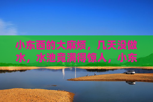 小东西的大麻烦，几天没做水，水池竟满得惊人，小东西的大麻烦，几天没做水，水池竟满得惊人