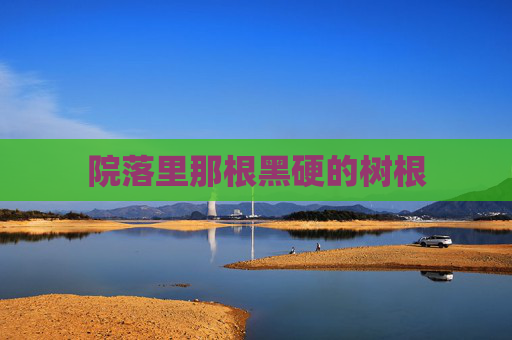 院落里那根黑硬的树根