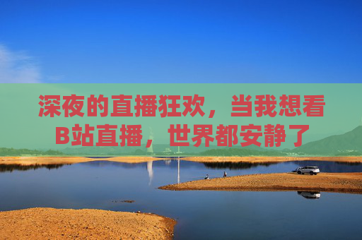 深夜的直播狂欢，当我想看B站直播，世界都安静了