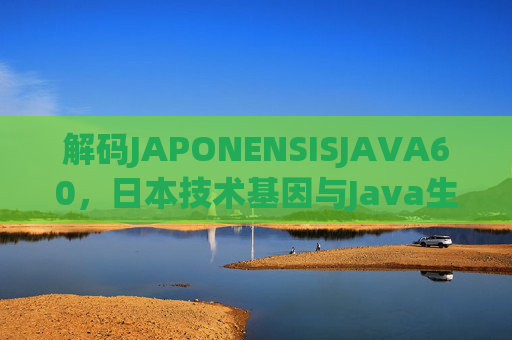 解码JAPONENSISJAVA60，日本技术基因与Java生态的深度融合探索，解码JAPONENSISJAVA60，日本技术基因与Java生态的深度融合探索