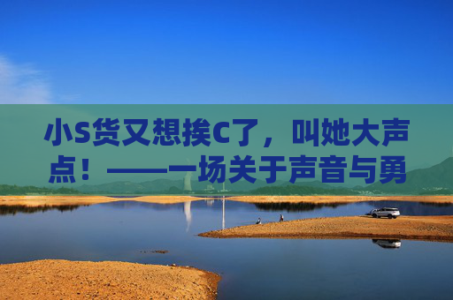 小S货又想挨C了，叫她大声点！——一场关于声音与勇气的趣事