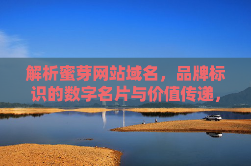 解析蜜芽网站域名，品牌标识的数字名片与价值传递，解析蜜芽，品牌标识与域名的数字名片价值传递