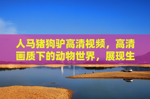 人马猪狗驴高清视频，高清画质下的动物世界，展现生命的灵动与和谐，高清人马猪狗驴，动物世界的灵动与和谐之美