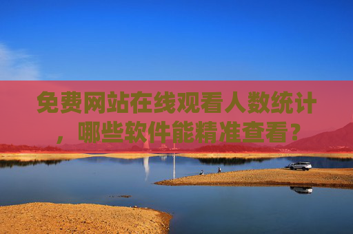 免费网站在线观看人数统计，哪些软件能精准查看？