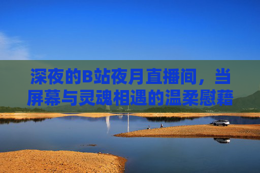 深夜的B站夜月直播间，当屏幕与灵魂相遇的温柔慰藉