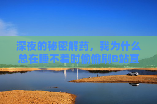 深夜的秘密解药，我为什么总在睡不着时偷偷刷B站直播