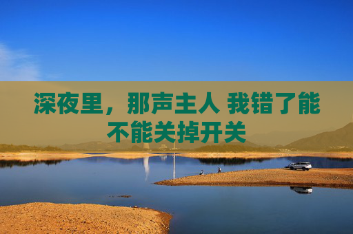 深夜里，那声主人 我错了能不能关掉开关