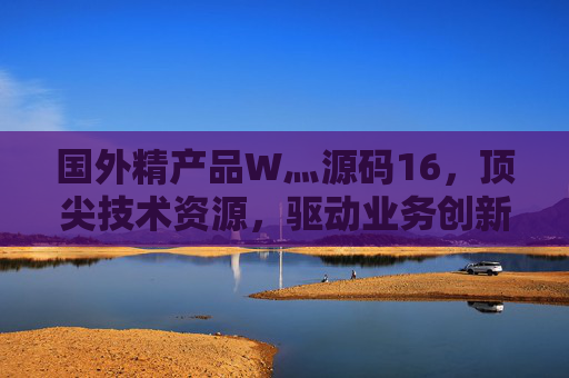 国外精产品W灬源码16，顶尖技术资源，驱动业务创新与增长