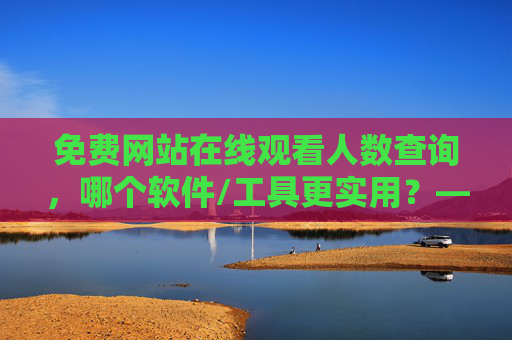 免费网站在线观看人数查询，哪个软件/工具更实用？——从流量分析到实时监控的优选指南