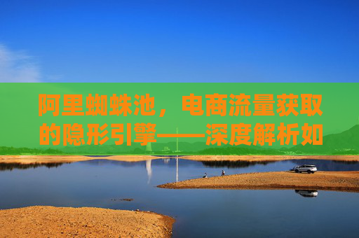 阿里蜘蛛池，电商流量获取的隐形引擎——深度解析如何通过精准引流提升店铺曝光与转化，阿里蜘蛛池，电商流量获取的隐形引擎——深度解析如何通过精准引流提升店铺曝光与转化
