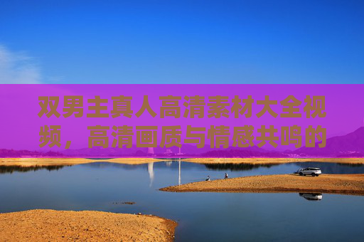 双男主真人高清素材大全视频，高清画质与情感共鸣的完美结合，解锁影视创作的无限可能