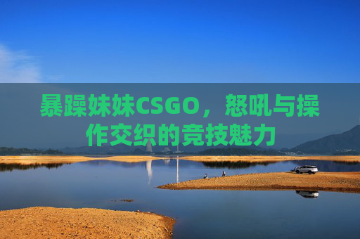 暴躁妹妹CSGO，怒吼与操作交织的竞技魅力
