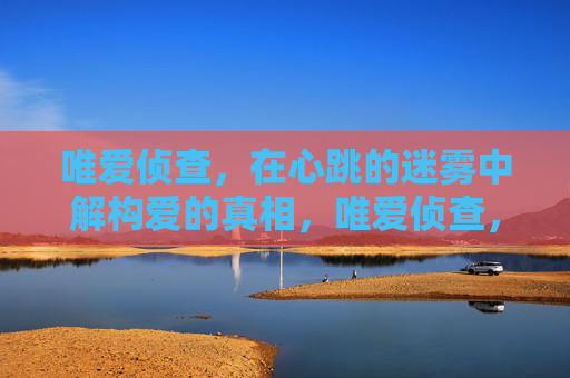 唯爱侦查，在心跳的迷雾中解构爱的真相，唯爱侦查，在心跳的迷雾中解构爱的真相