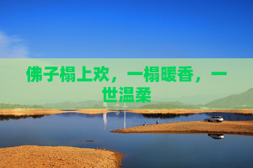 佛子榻上欢，一榻暖香，一世温柔