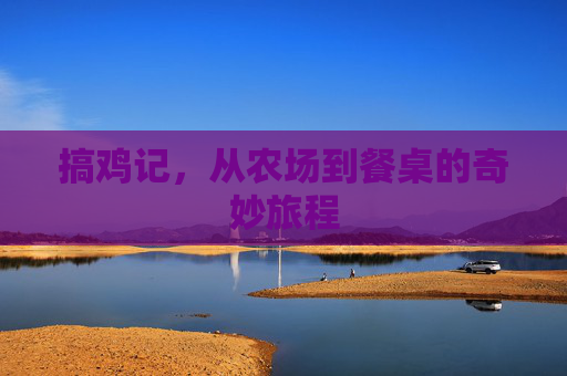 搞鸡记，从农场到餐桌的奇妙旅程
