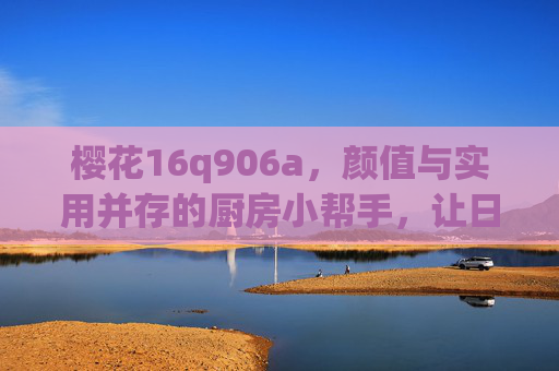 樱花16q906a，颜值与实用并存的厨房小帮手，让日常烹饪更轻松的智能选择，樱花16q906a，颜值与实用并存的厨房小帮手，让日常烹饪更轻松的智能选择