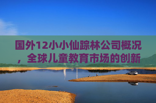 国外12小小仙踪林公司概况，全球儿童教育市场的创新探索与品牌影响力，小小仙踪林公司概况，全球儿童教育市场的创新探索与品牌影响力