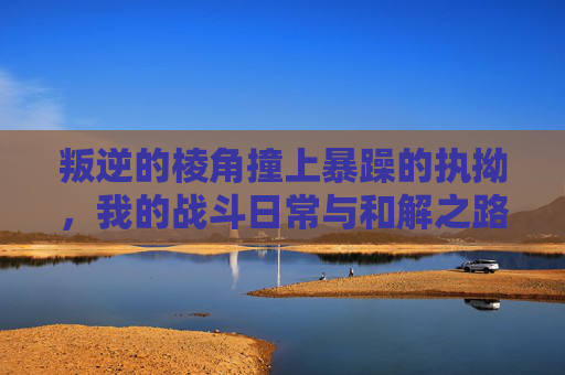 叛逆的棱角撞上暴躁的执拗，我的战斗日常与和解之路