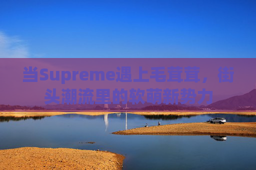 当Supreme遇上毛茸茸，街头潮流里的软萌新势力
