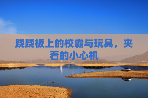 跷跷板上的校霸与玩具，夹着的小心机